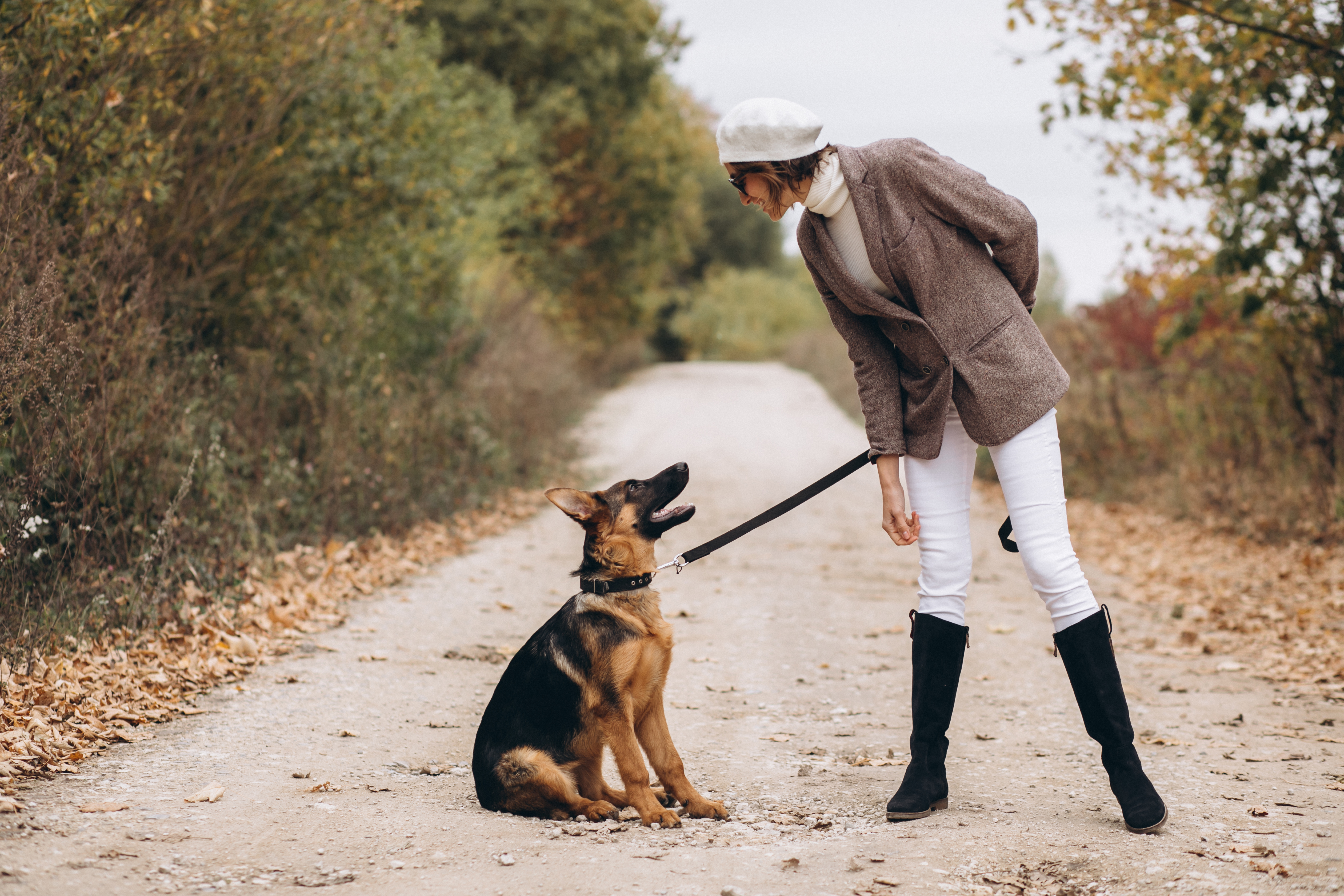 Formation pour devenir PetSitter