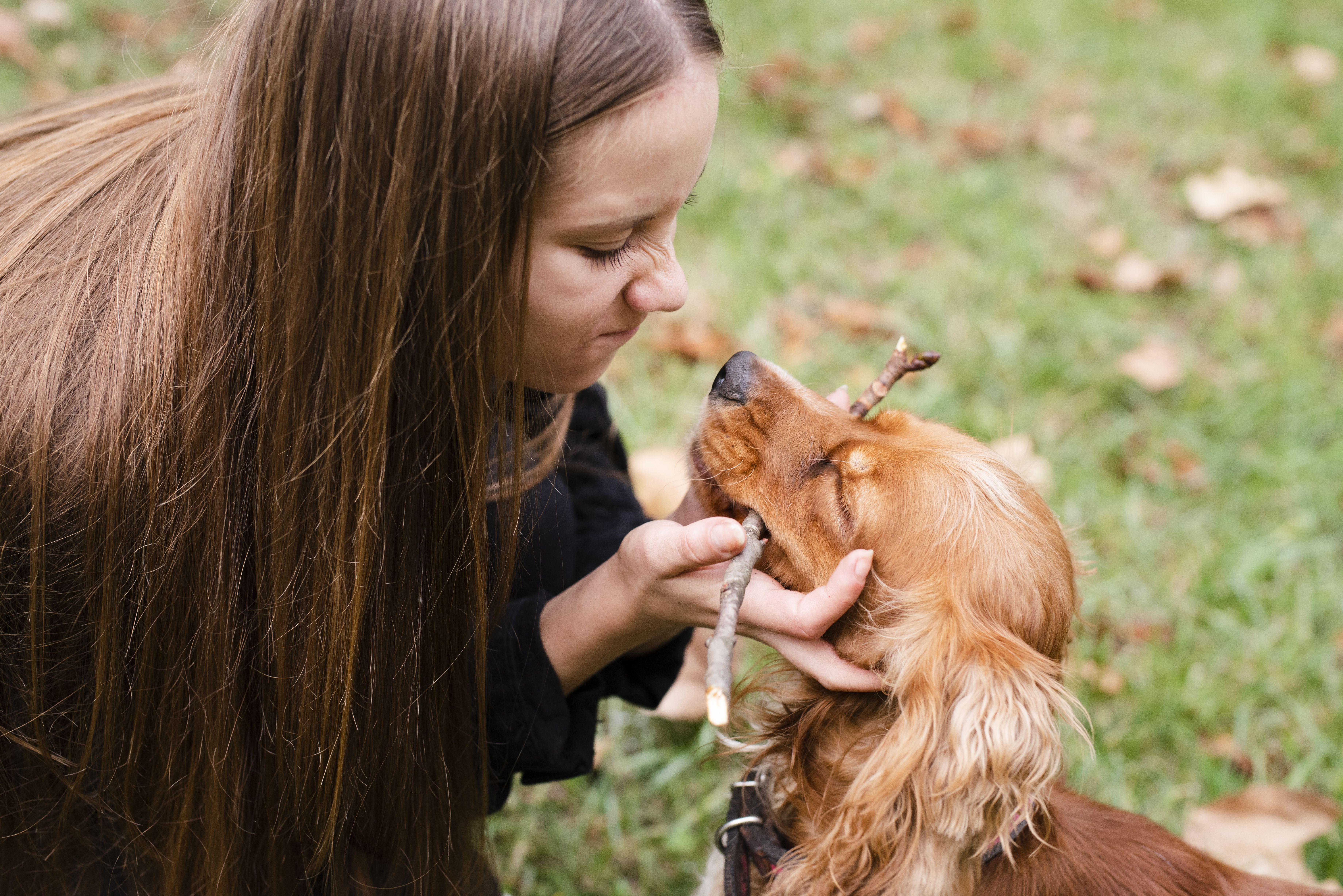 PetSitter vs Pension : quelle solution choisir ?
