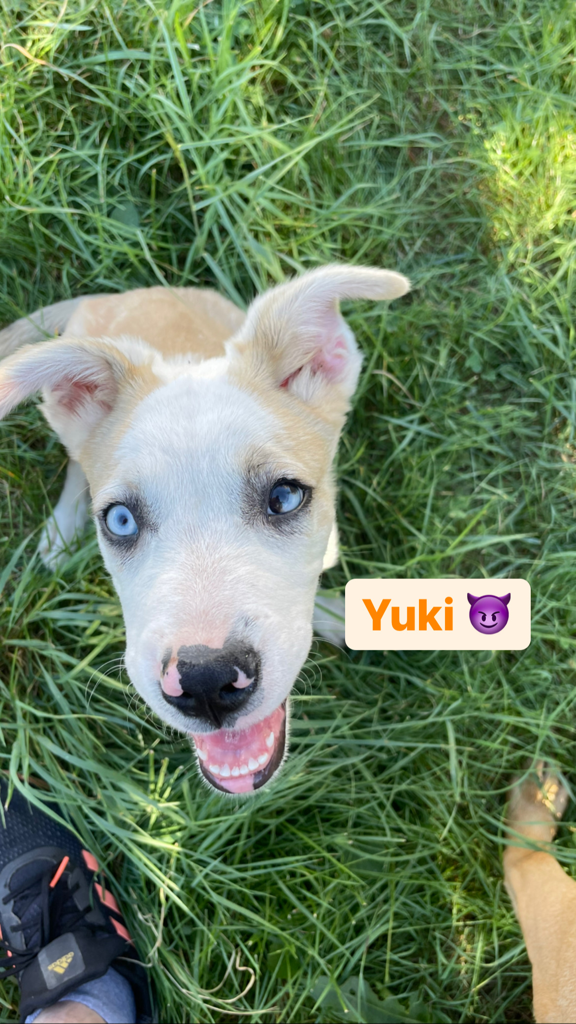 Photo de Yuki