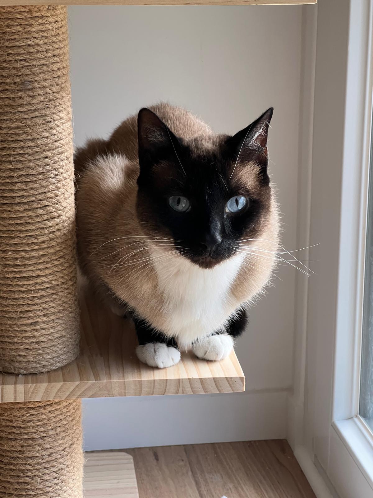 Photo de Yuki