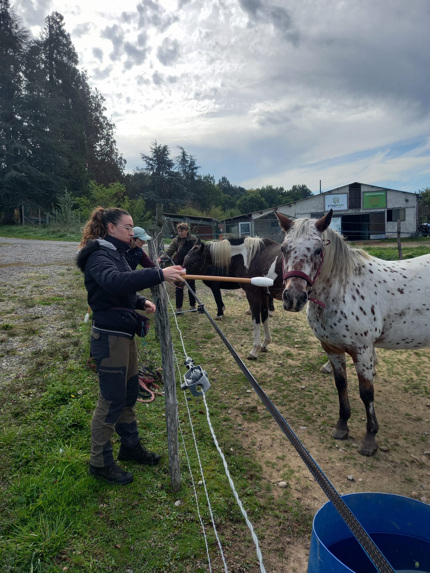 Photo de Julie