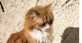 Photo de Kessy