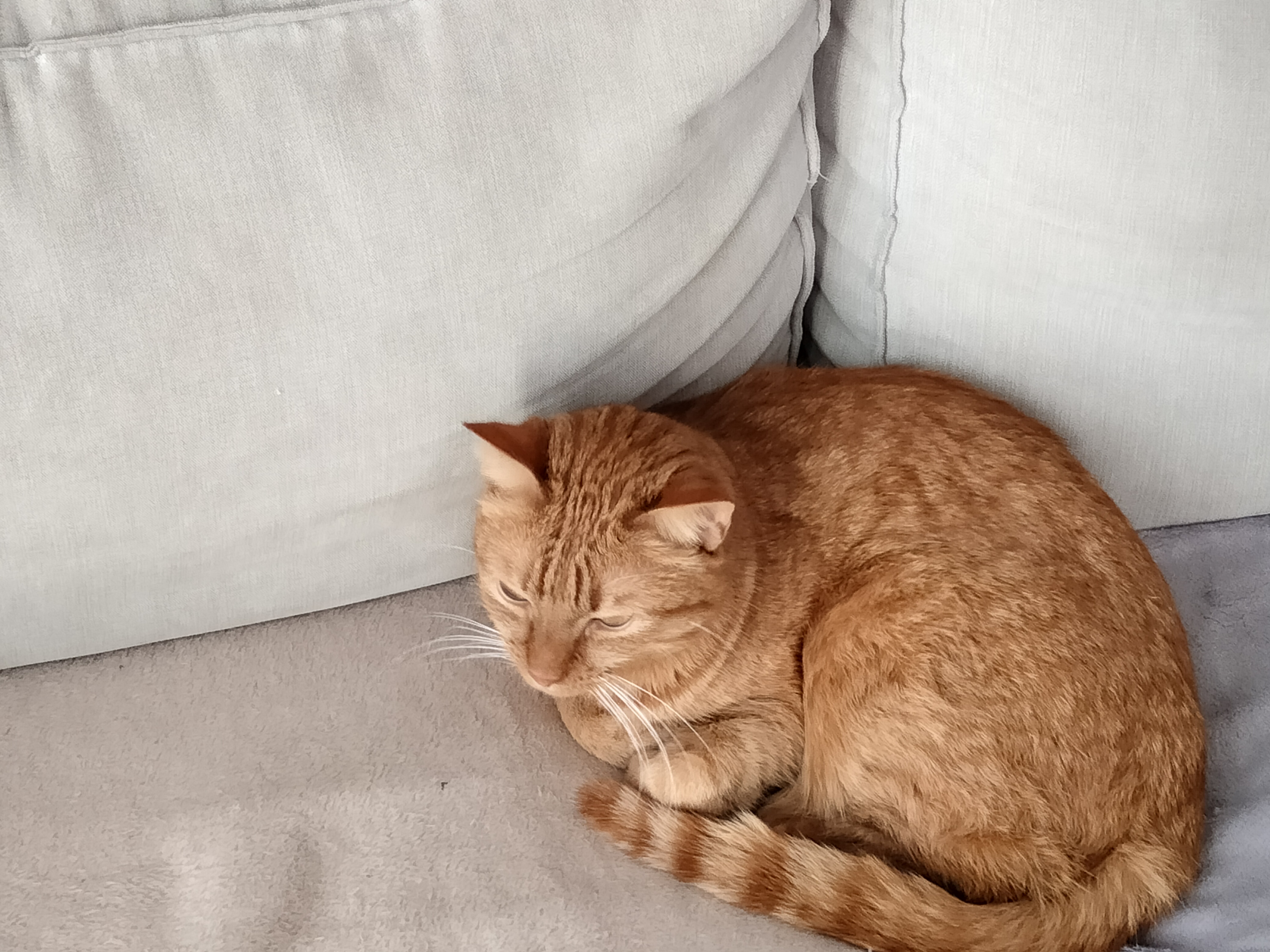 Photo de Roxy