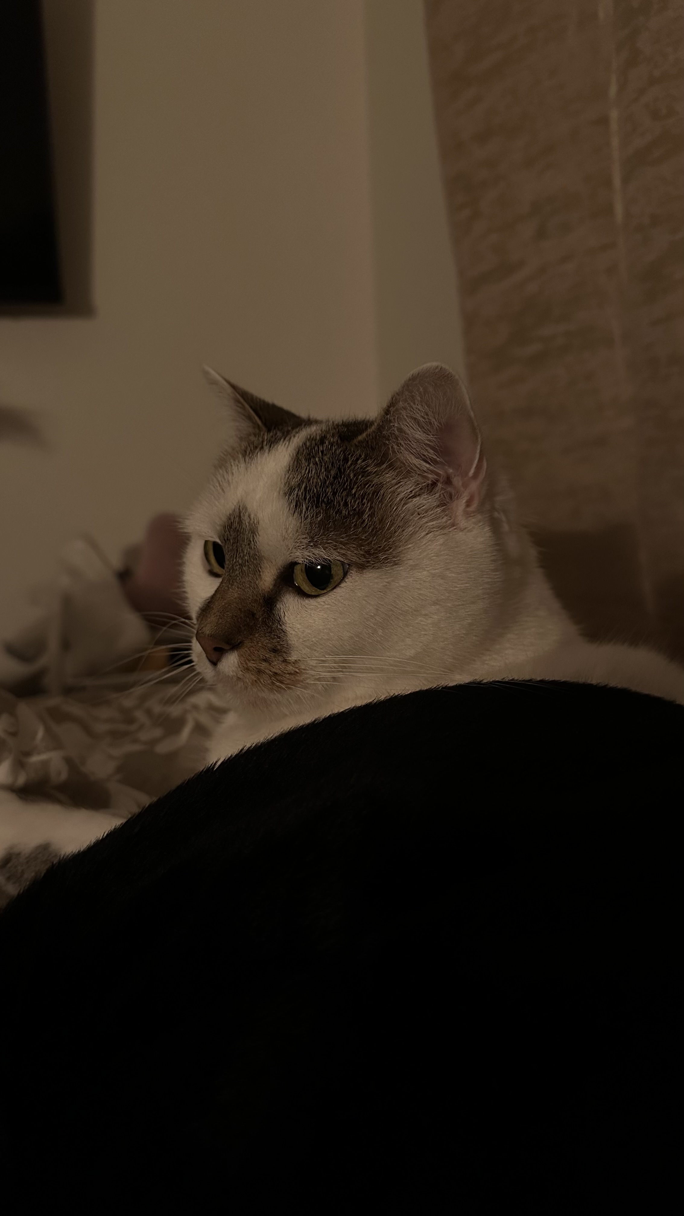 Photo de Auriane