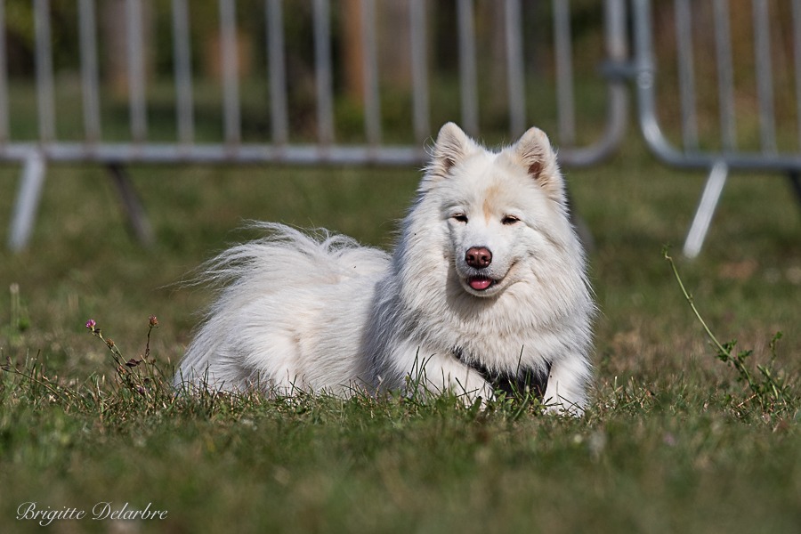 Photo de Mila